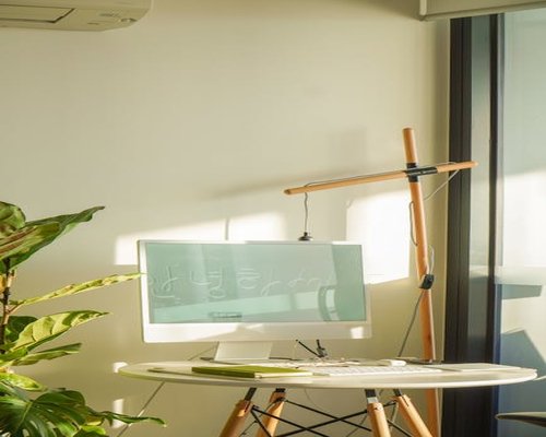 Serene home workspace near a window with balanced light and a green indoor plant